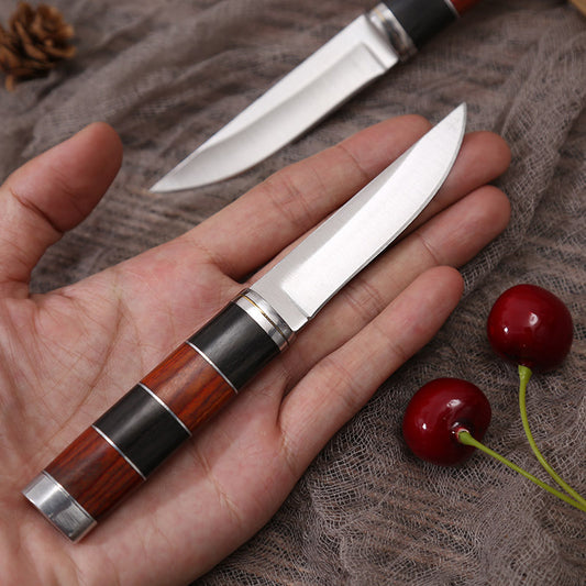 Multi-purpose Stainless Steel Fruit Knife