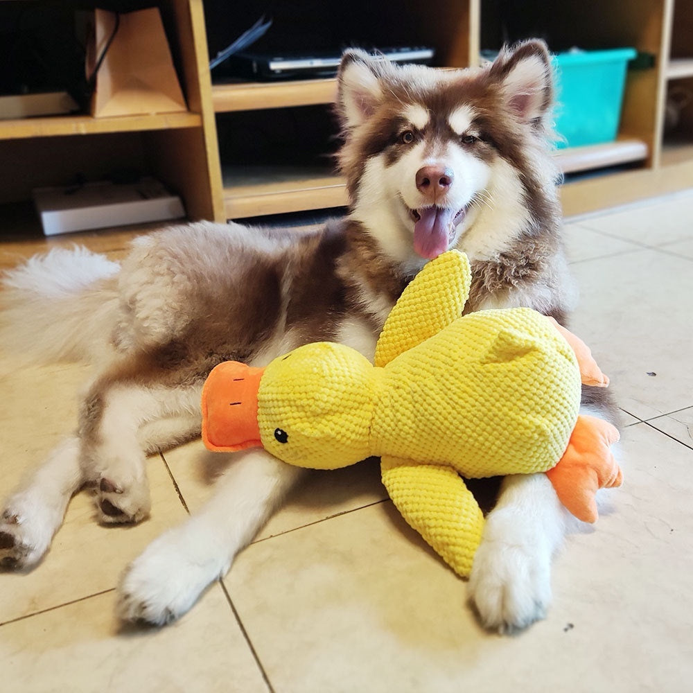 The Duck Dog Toy Plush Bite-resistant Pet Supplies