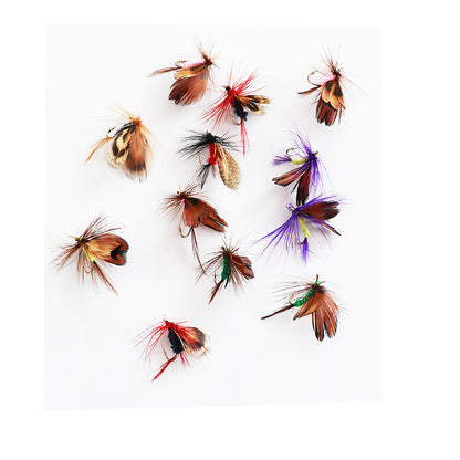 Fly Insect Feather Butterfly Fly Hooks