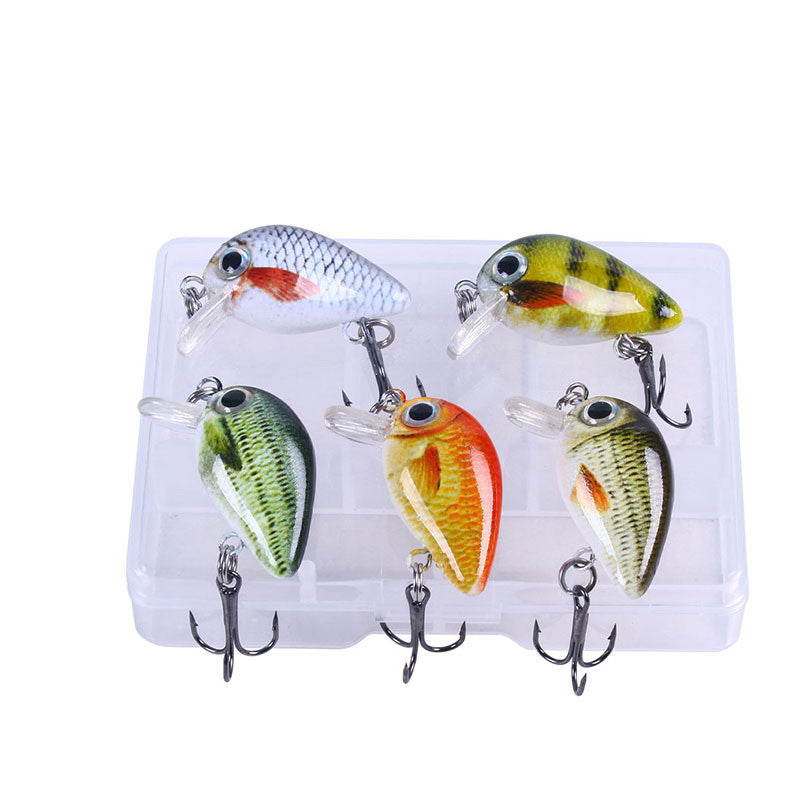 New Style Mini Rock Fishing Lure 1.5g Small Lure Set 5 Color Boxed Wholesale Printing Lure Lure