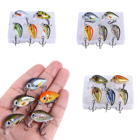 New Style Mini Rock Fishing Lure 1.5g Small Lure Set 5 Color Boxed Wholesale Printing Lure Lure