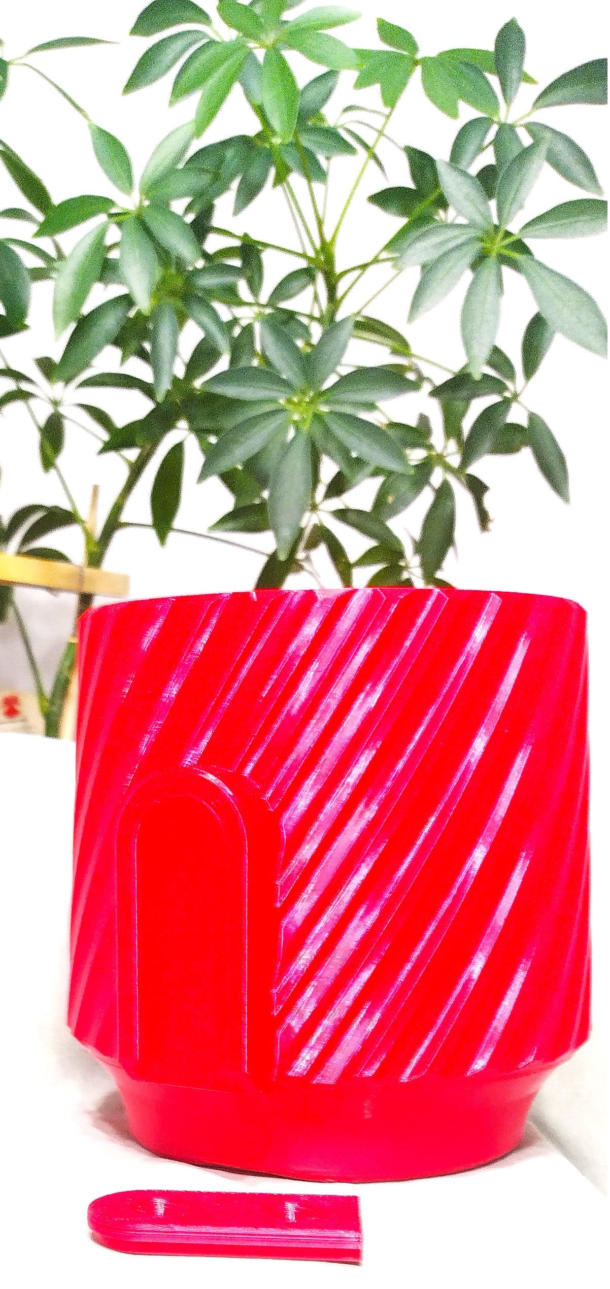 Red Wall Mounted Planter