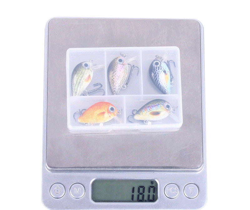 New Style Mini Rock Fishing Lure 1.5g Small Lure Set 5 Color Boxed Wholesale Printing Lure Lure